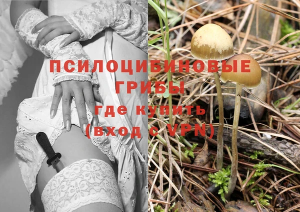мяу мяу мука Беломорск