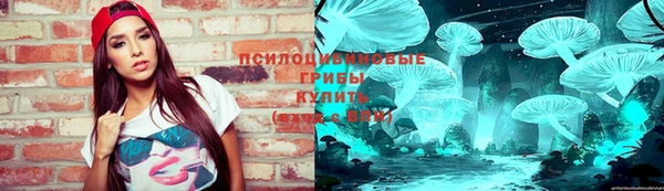 марки lsd Белокуриха
